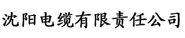 国产亚洲精品中文带字幕21页电缆厂logo